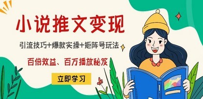 #31度网赚班# 小说推文训练营：引流技巧+爆款实操+矩阵号玩法，百倍效益、百万播放秘笈