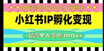 #31度网赚班# 某收费培训-小红书IP孵化变现：做有影响力的小红书博主，最高单人变现300w+