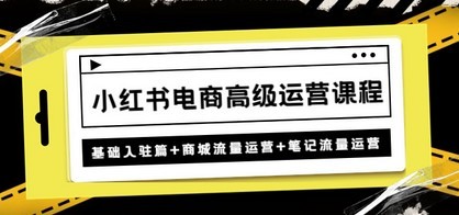小红书电商高级运营课程：基础入驻篇+商城流量运营+笔记流量运营
