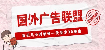 外面收费1980最新国外LEAD广告联盟搬砖项目，单号一天至少30美金(详细教程)