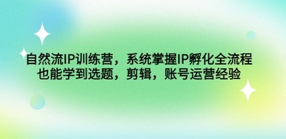 自然流IP训练营，系统掌握IP孵化全流程，也能学到选题，剪辑，账号运营经验