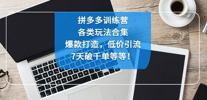 拼多多训练营：各玩法合集，爆款打造，低价引流，7天破千单等等！