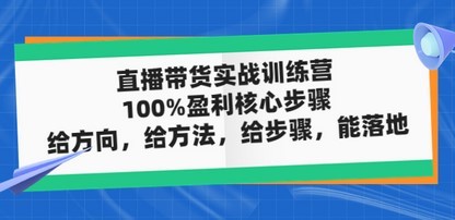 直播带货实战训练营：100%盈利核心步骤，给方向，给方法，给步骤，能落地