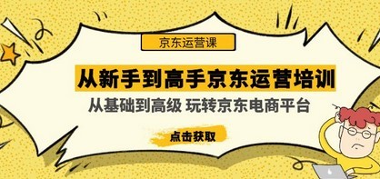 从新手到高手京东运营培训：从基础到高级 玩转京东电商平台(无中创水印)