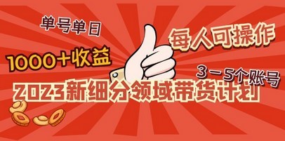 2023新细分领域带货计划：单号单日1000+收益不难，每人可操作3-5个账号