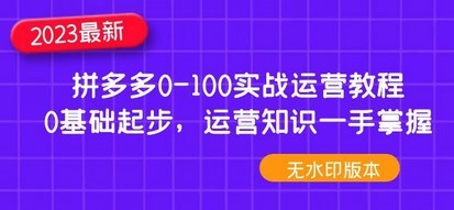 2023拼多多0-100实战运营教程，0基础起步，运营知识一手掌握