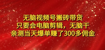 无脑视频号搬砖带货，只要会电脑剪辑，无脑干，亲测当天爆单赚了300多佣金