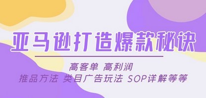 亚马逊打造爆款秘诀：高客单 高利润 推品方法 类目广告玩法 SOP详解等等