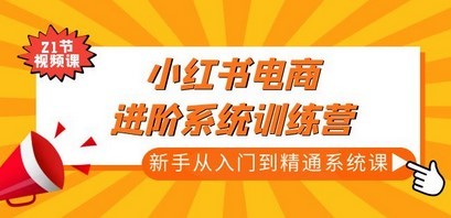 小红书电商进阶系统训练营：新手从入门到精通系统课（21节视频课）