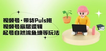 视频号·带货Puls班，视频号底层逻辑，起号自然流鱼塘等玩法