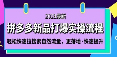 拼多多-新品打爆实操流程：轻松快速拉搜索自然流量，更落地·快速提升!