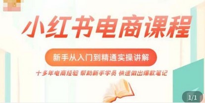 小红书电商新手入门到精通实操课，从入门到精通做爆款笔记，开店运营