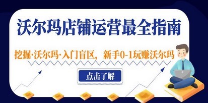 沃尔玛店铺·运营最全指南，挖掘·沃尔玛·入门盲区，新手0-1玩赚沃尔玛