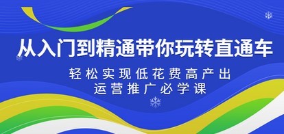 从入门到精通带你玩转直通车：轻松实现低花费高产出，35节运营推广必学课