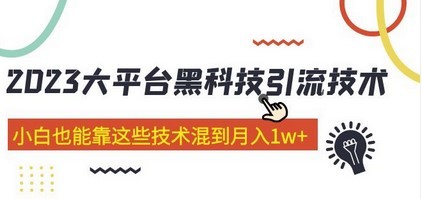 价值4899的2023大平台黑科技引流技能 小白也能靠这些技能混到月入1w+29节课