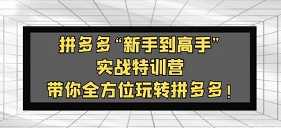 拼多多“新手到高手”实战特训营：带你全方位玩转拼多多！