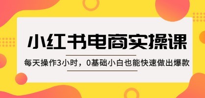 小红书·电商实操课：每天操作3小时，0基础小白也能快速做出爆款！