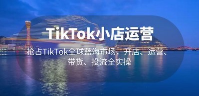 TikTok小店运营 抢占TikTok全球蓝海市场，开店、运营、带货、投流全实操