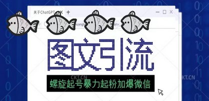 23年价值1980的图文引流创业粉螺旋起好技术暴力起粉加爆微信