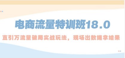 电商流量特训班18.0，直引万流量破局实操玩法，现场出数据拿结果