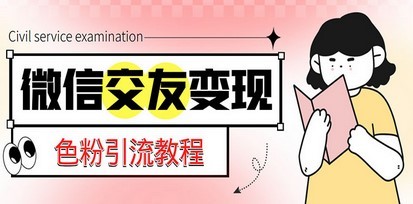 微信交友变现项目，吸引全网LSP男粉精准变现，小白也能轻松上手，日入500+