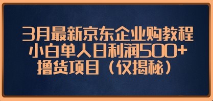 3月最新京东企业购教程，小白单人日利润500+撸货项目（仅揭秘）