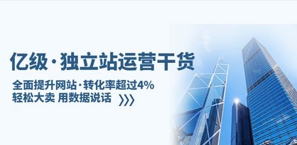 亿级·独立站运营干货：全面提升网站·转化率超过4%，轻松大卖 用数据说话