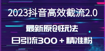 日引300＋创业粉，独家抖音高效截流2.0玩法（价值1280）