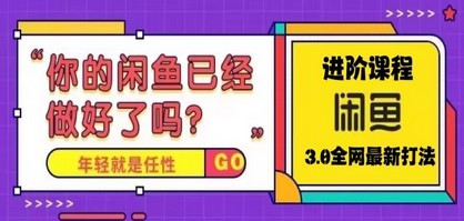 火爆全网的咸鱼玩法进阶课程，单号日入1K的咸鱼进阶课程