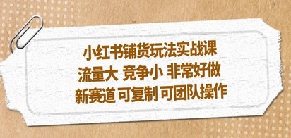 小红书铺货玩法实战课，流量大 竞争小 非常好做 新赛道 可复制 可团队操作
