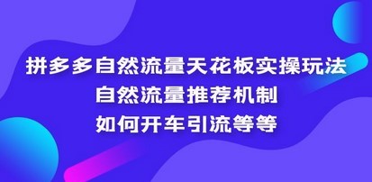 拼多多自然流量天花板实操玩法：自然流量推荐机制，如何开车引流等等