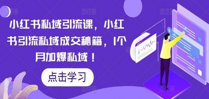 小红书私域引流课，小红书引流私域成交秘籍，1个月加爆私域！