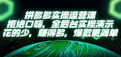 拼多多实操运营课：拒绝口嗨，全后台实操演示，花的少，赚得多，爆款更简单