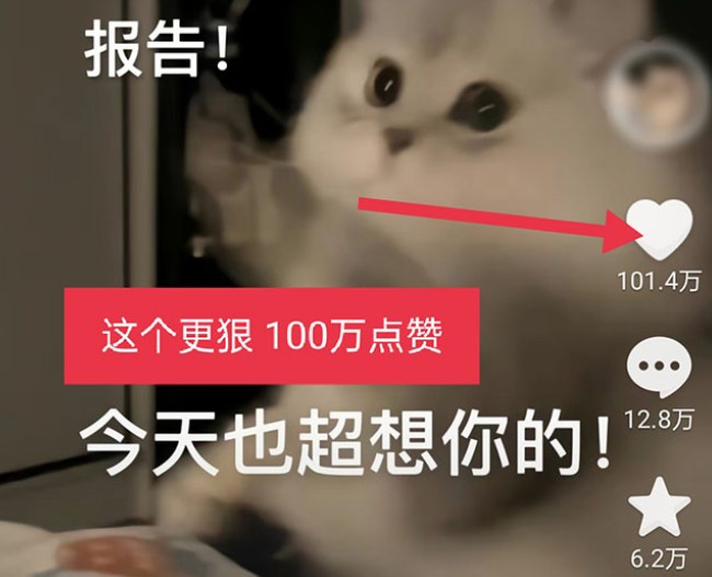 黑科技纯原创可爱猫咪图片，全网精准引流，实操5个VX号被加频繁
