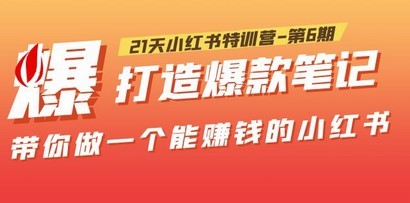21天小红书特训营-第6期，打造爆款笔记，带你做一个能赚钱的小红书！