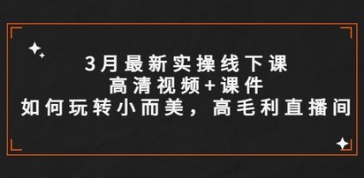 3月最新实操线下课高清视频+课件，如何玩转小而美，高毛利直播间