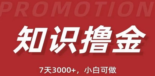 抖音知识撸金项目：简单粗暴日入1000+执行力强当天见收益(教程+资料)