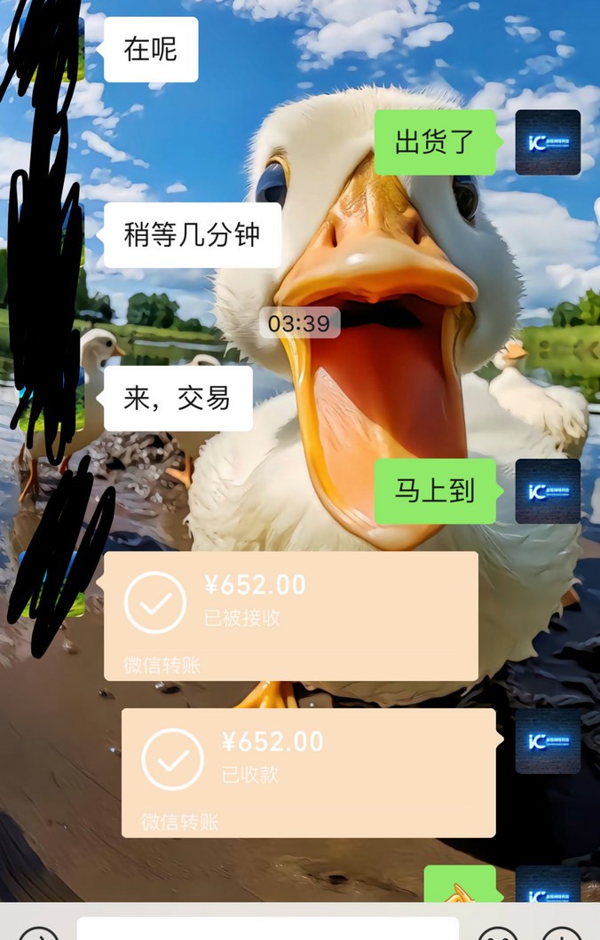 7g6xc.jpg